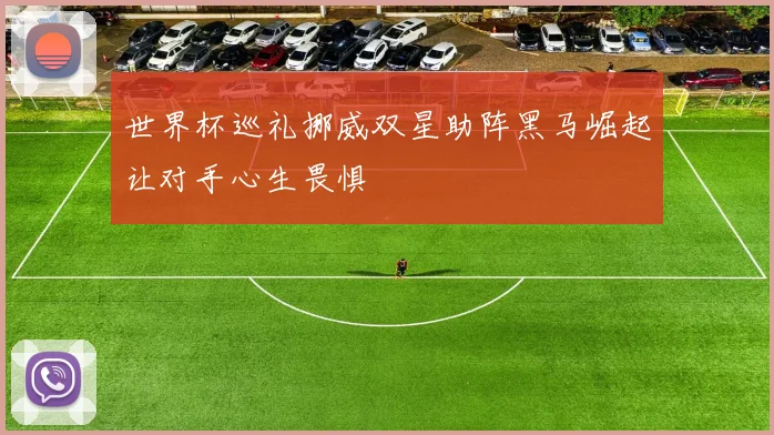 世界杯巡礼挪威双星助阵黑马崛起让对手心生畏惧